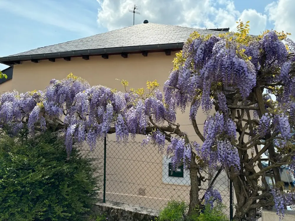 finition façade St gilles